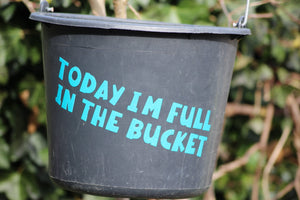 Plotterdatei - "Full in the bucket" - B.Style