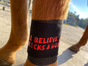 Plotterdatei - "I believe me kicks a horse" - B.Style